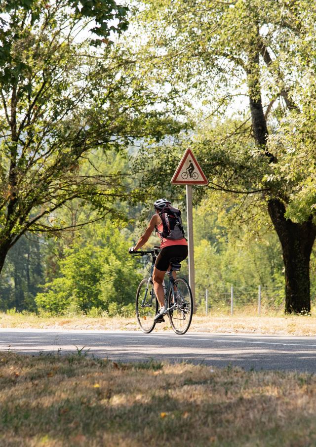 Cycliste sur la ViaRhôna entre Lyon et Genève