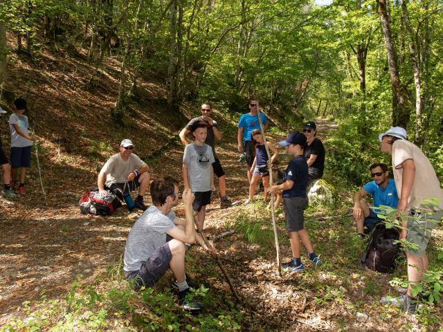Groupe de randonneurs en forêt