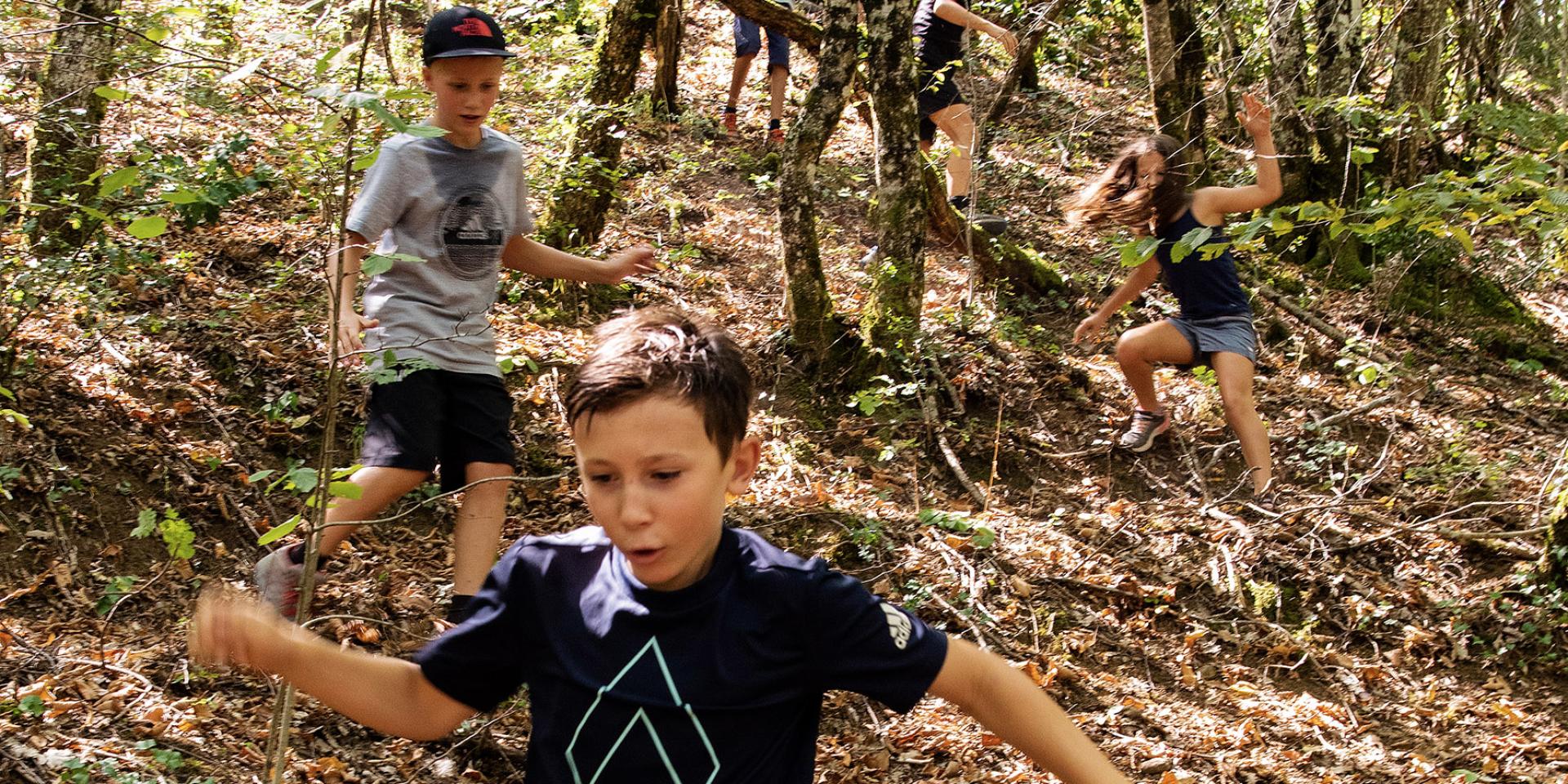 Enfants randonnant en forêt
