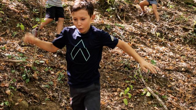 Enfants randonnant en forêt