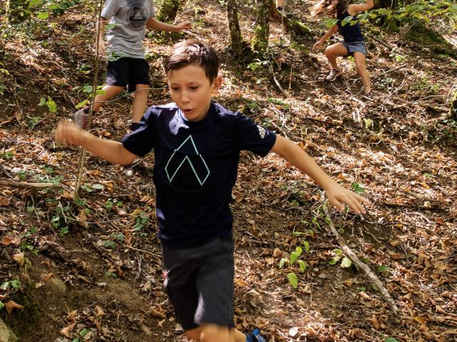 Enfants randonnant en forêt