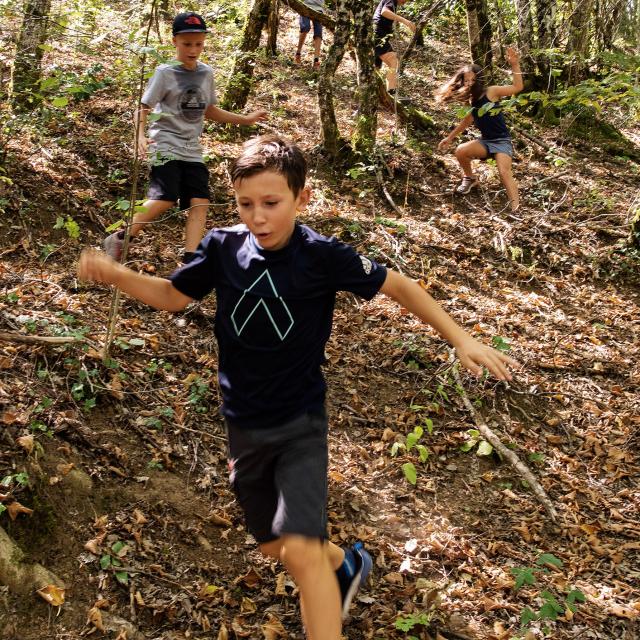 Enfants randonnant en forêt