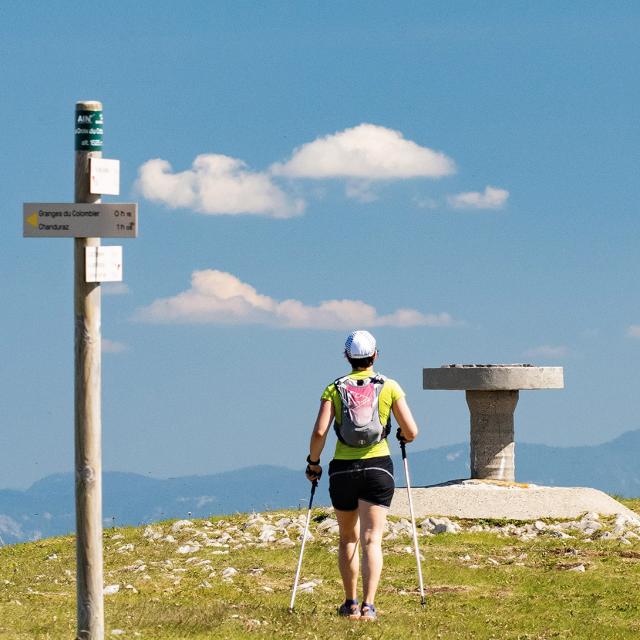 Table d'orientation sur le Grand Colombier
