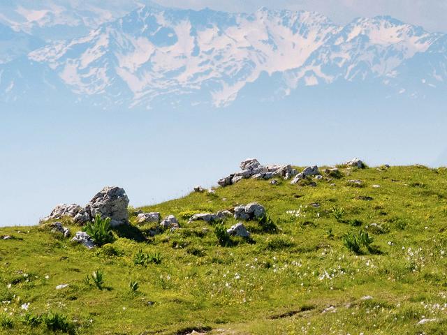 Vue sur les Alpes enneigés depuis le Grand Colombier