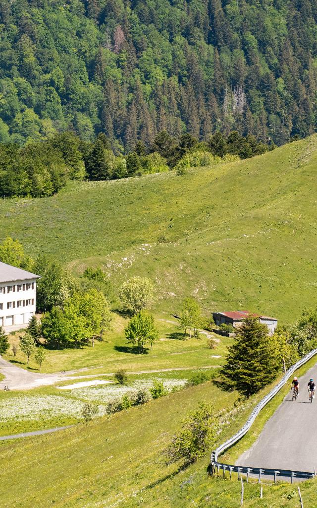 Cyclistes dans les pentes du Grand Colombier côté Valromey