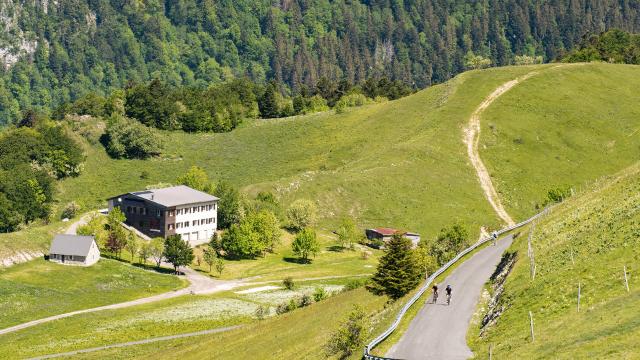 Cyclistes dans les pentes du Grand Colombier côté Valromey