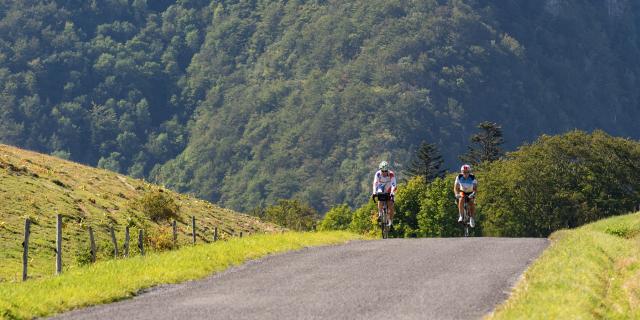 Cycliste dans les pentes du Grand Colombier