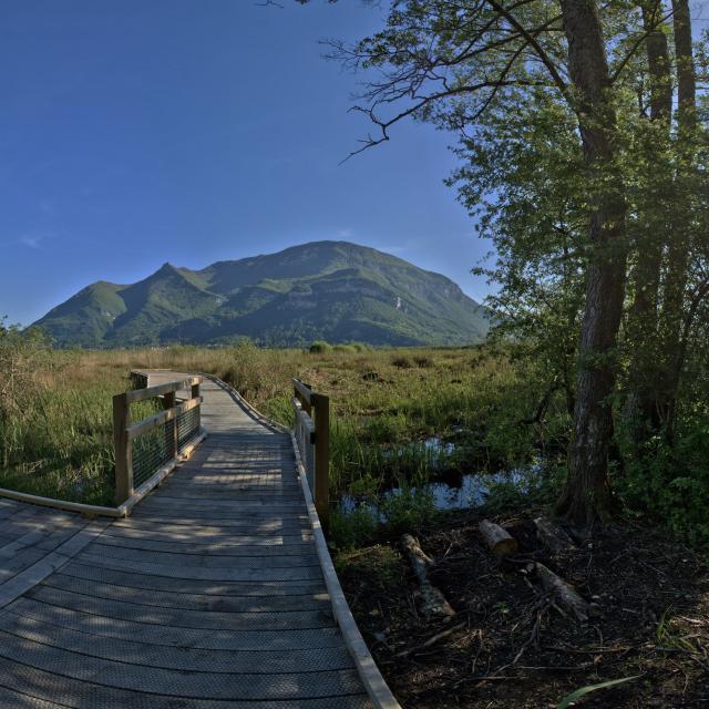 Sentier sur pilotis du Marais de Lavours