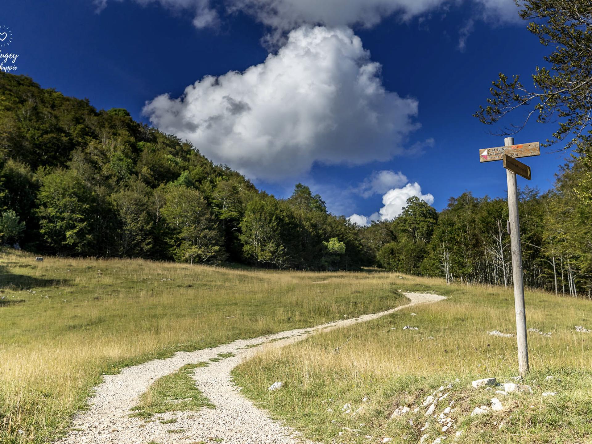 Le top 50 des randos dans le Bugey Sud | Office de Tourisme Bugey Sud ...