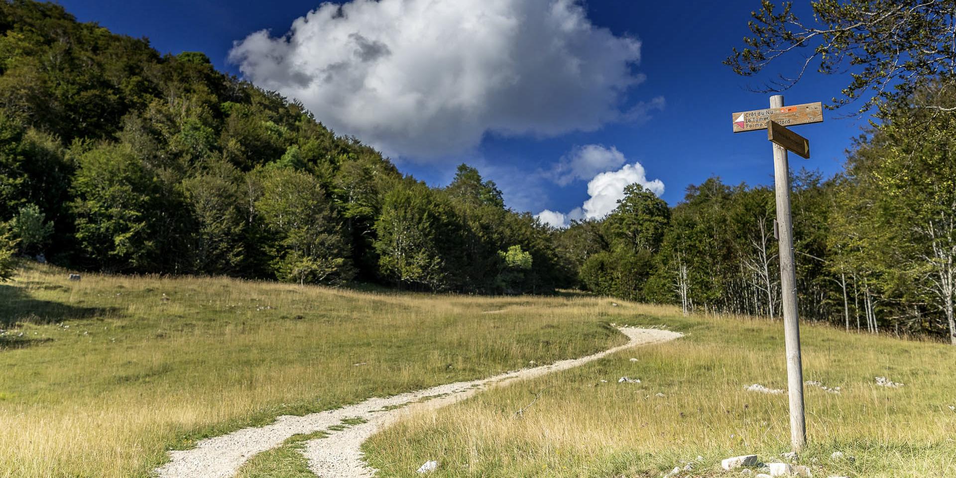 Chemin de randonnée en direction du Crêt du Nu sur le Plateau de Retord