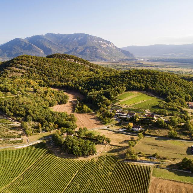 Vignobles du Bugey à Marignieu