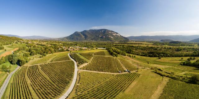 Vue sur les vignobles du Bugey et le Grand Colombier depuis Flaxieu