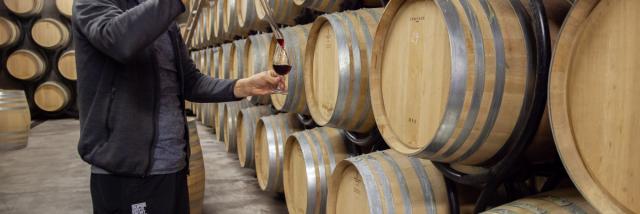 Vins du Bugey au Caveau Bugiste