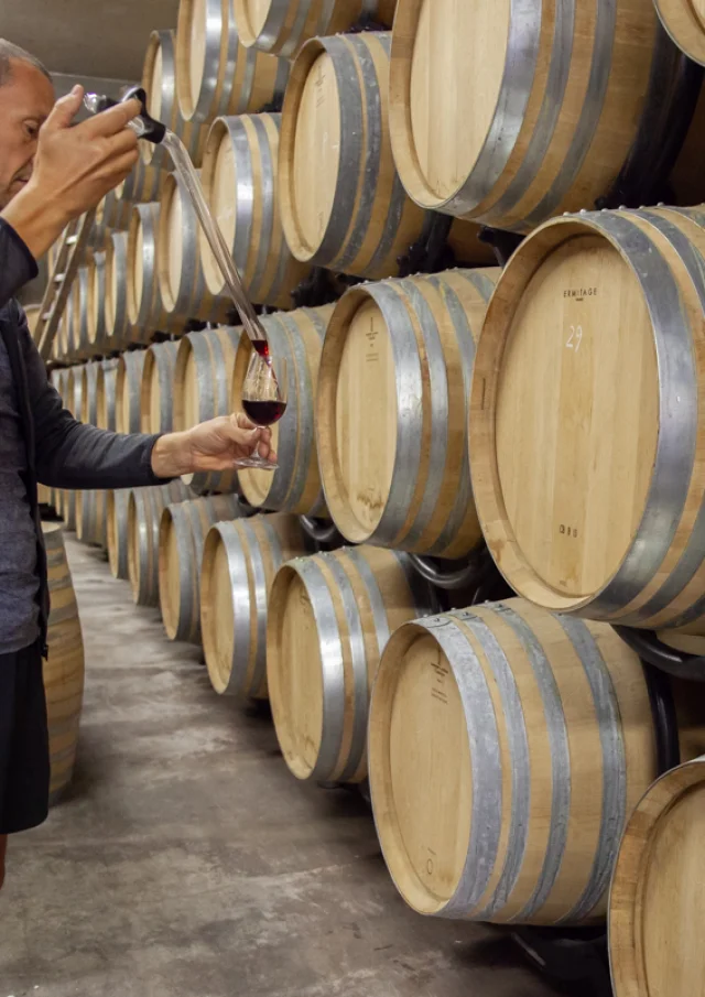 Vins du Bugey au Caveau Bugiste