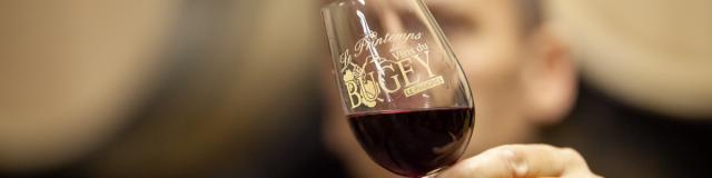 Vins du Bugey