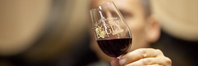 Vins du Bugey
