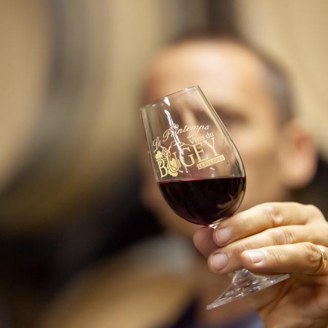 Vins du Bugey