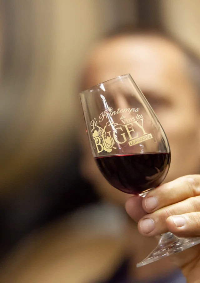 Vins du Bugey