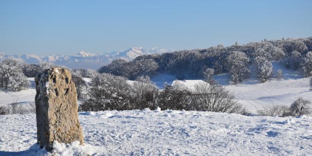 Borne de Savoie et vue sur le Mont Blanc depuis la Ferme de Retord