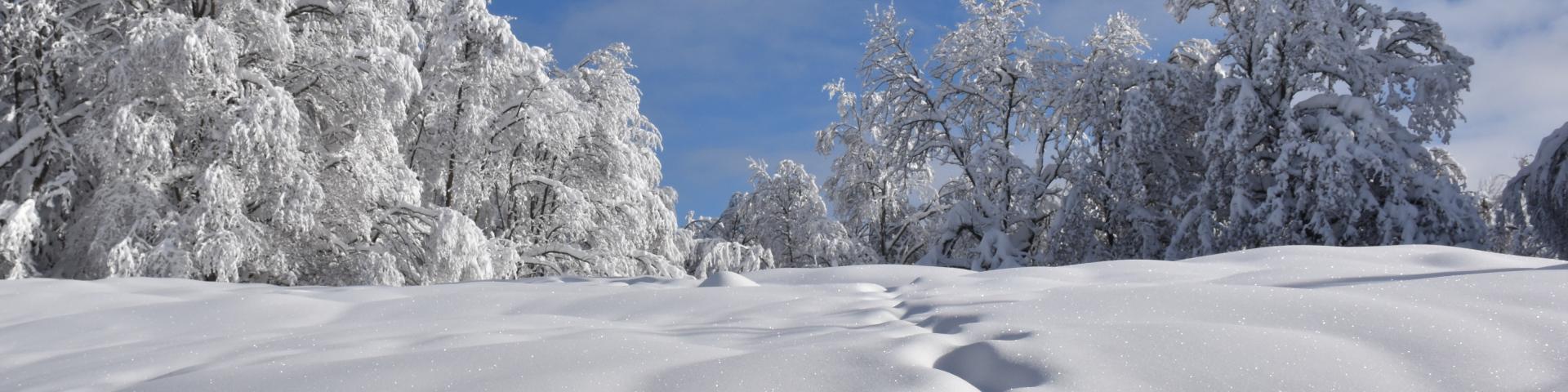 Paysages enneigés du Plateau de Retord
