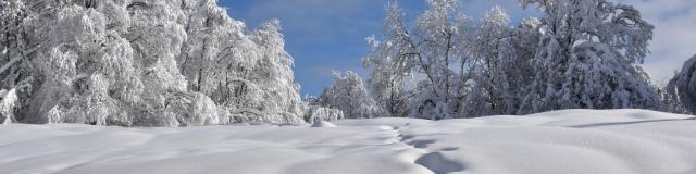 Paysages enneigés du Plateau de Retord
