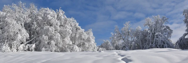 Paysages enneigés du Plateau de Retord