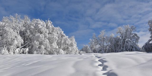 Paysages enneigés du Plateau de Retord