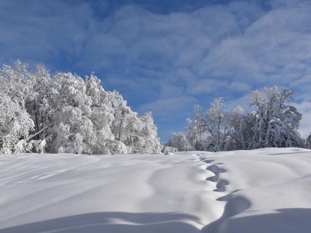 Paysages enneigés du Plateau de Retord