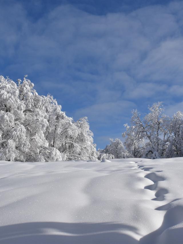 Paysages enneigés du Plateau de Retord