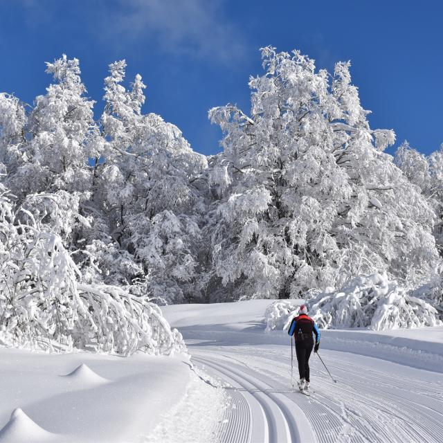 Ski de fond sur le Plateau de Retord