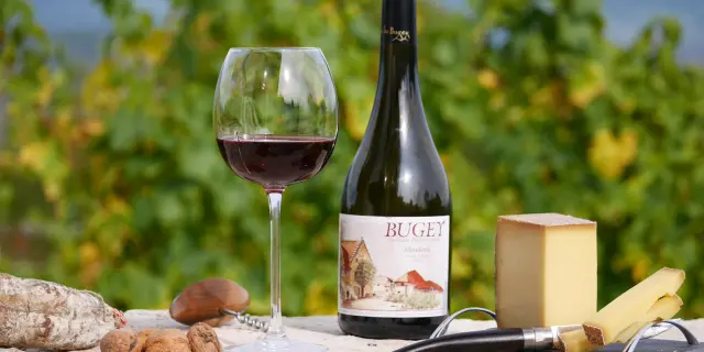 Dégustation au Caveau Bugiste à Vongnes