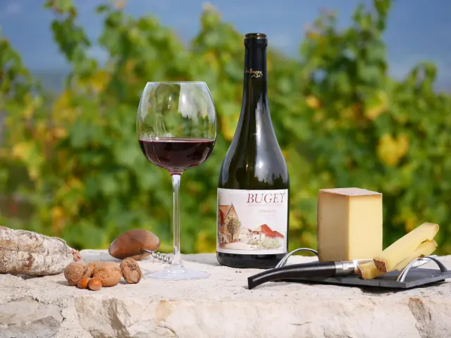 Dégustation au Caveau Bugiste à Vongnes