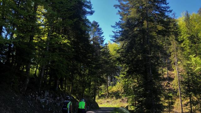 Cyclistes dans le col de Belleroche