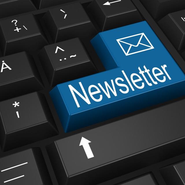 Newsletter 4308826
