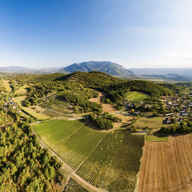 Panorama Marignieu