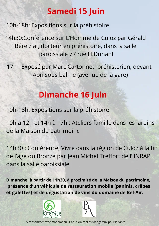 FlyervJournees Europeennes De Larcheologie