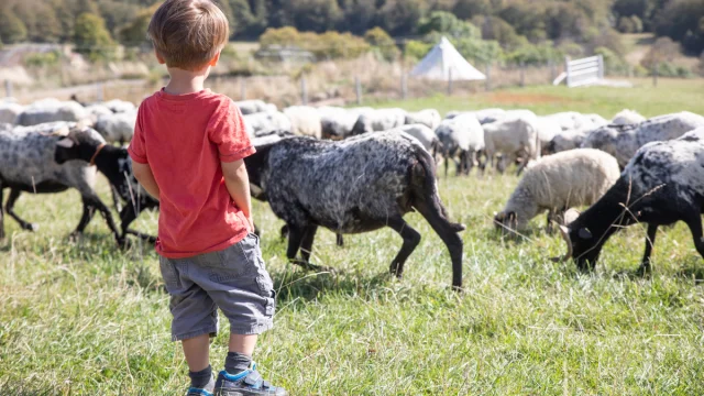 Les pieds dans le local Bugey Sud 2025