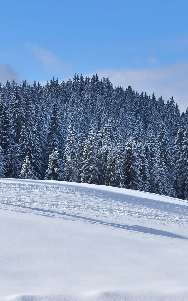 Ski de fond Espace Nordique Jurassien