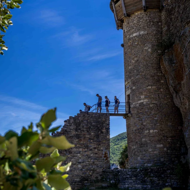 Chateau De Peyrelade Alexandre Humbert 3