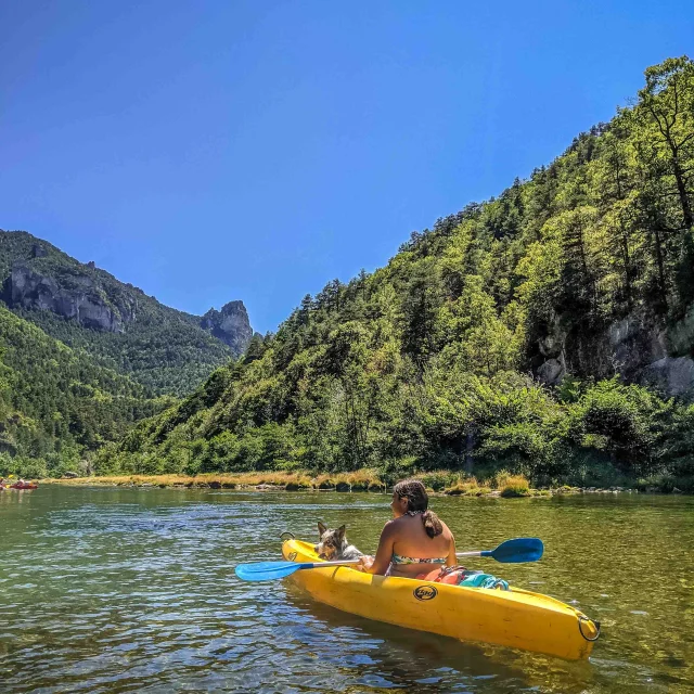 Cani Canoe Emmene Ton Chien 16 
