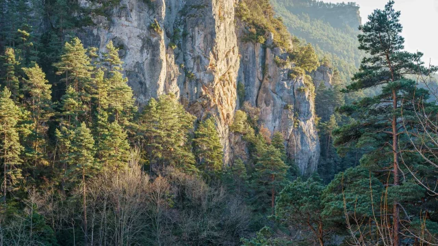 Gr736 Gorges Du Tarn 2 Exodams