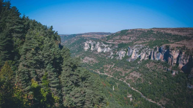 Vue Sur La Jonte Gorges De La Jonte 5 Alexandre Humbert