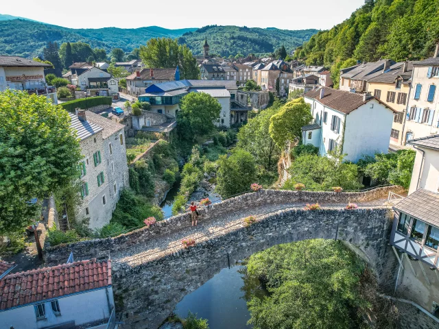 Pont Vieux St Jean Du Bruel V.govignon Min