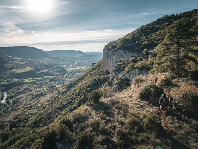 Templiers 2024 Enzoplanes 228