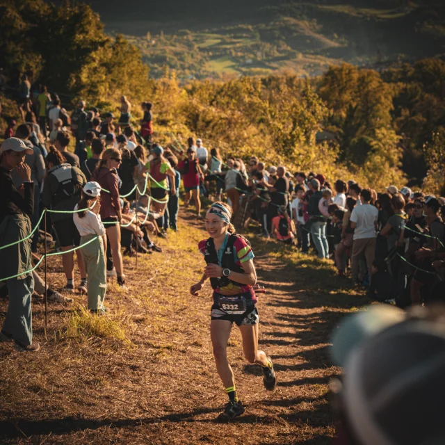 Templiers 2024 Enzoplanes 262