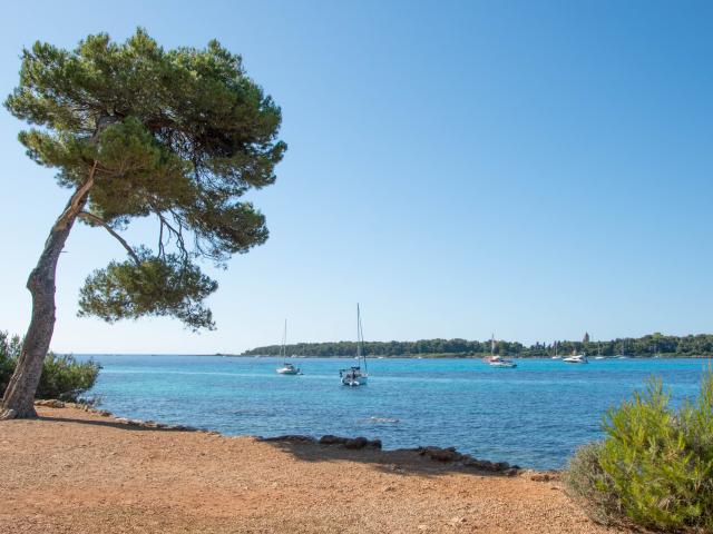 Balade Ste Marguerite ©alix Poncet