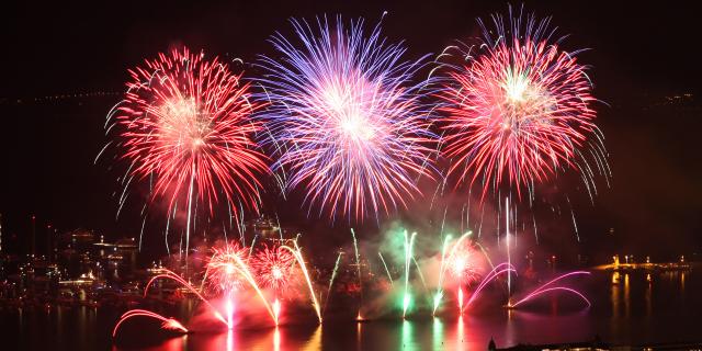 Feux d'artifice de la société Pyrovision (Autriche) au Festival d'Art Pyrotechnique de Cannes 2010
(Photo by Eric Dervaux)