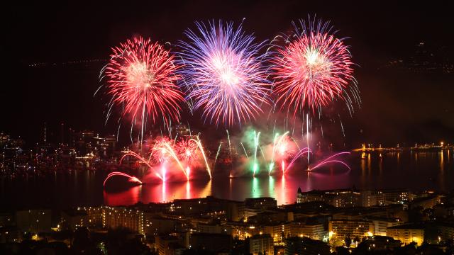 Feux d'artifice de la société Pyrovision (Autriche) au Festival d'Art Pyrotechnique de Cannes 2010
(Photo by Eric Dervaux)