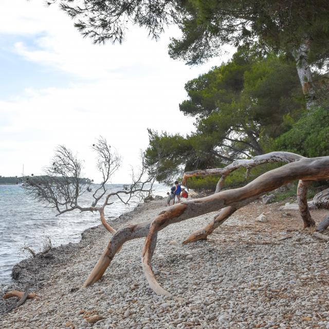 Plage De La Maison Forestière ©alix Poncet Semec
