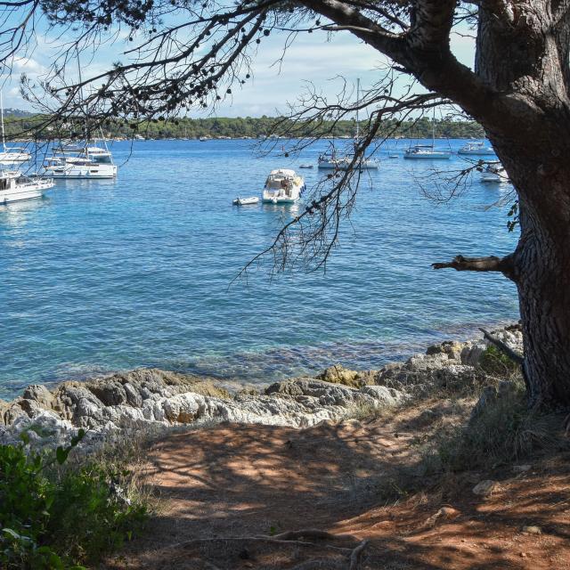 Plage Du Port Ile Saint Honorat Alix Poncet Semec